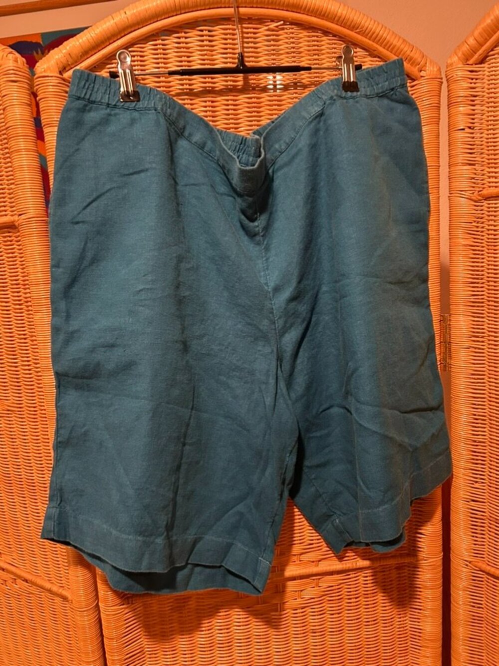 J. Jill Turquoise/Teal Linen Shorts: XL: $20
